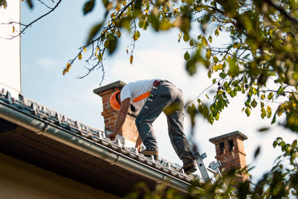 Best Roof Leak Repair  in Ansonia, OH