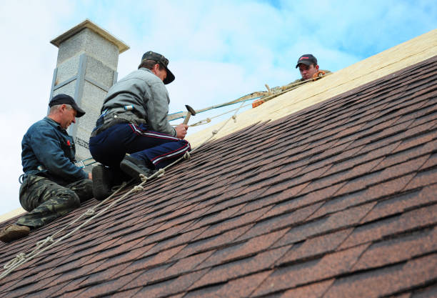 Best Roof Maintenance Services  in Ansonia, OH